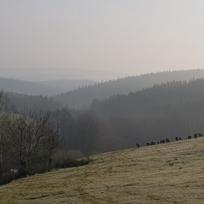 Soloretraite - retraite in de natuur