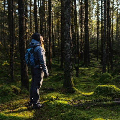 Soloretraite - retraite in de natuur